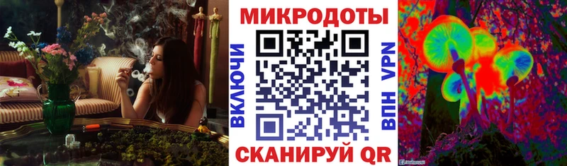 Купить закладки  Сысерть  Галлюциногенные грибы Magic Shrooms 